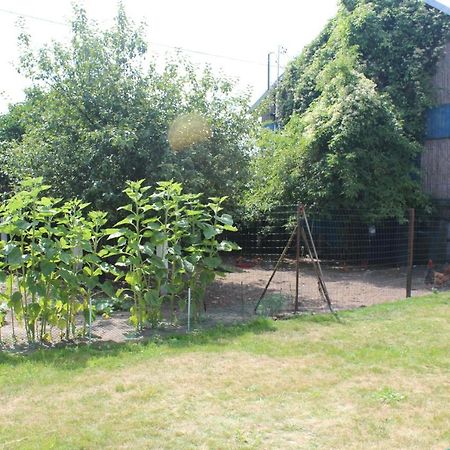 Agroturystyka Kociewiak Szteklin Exterior foto