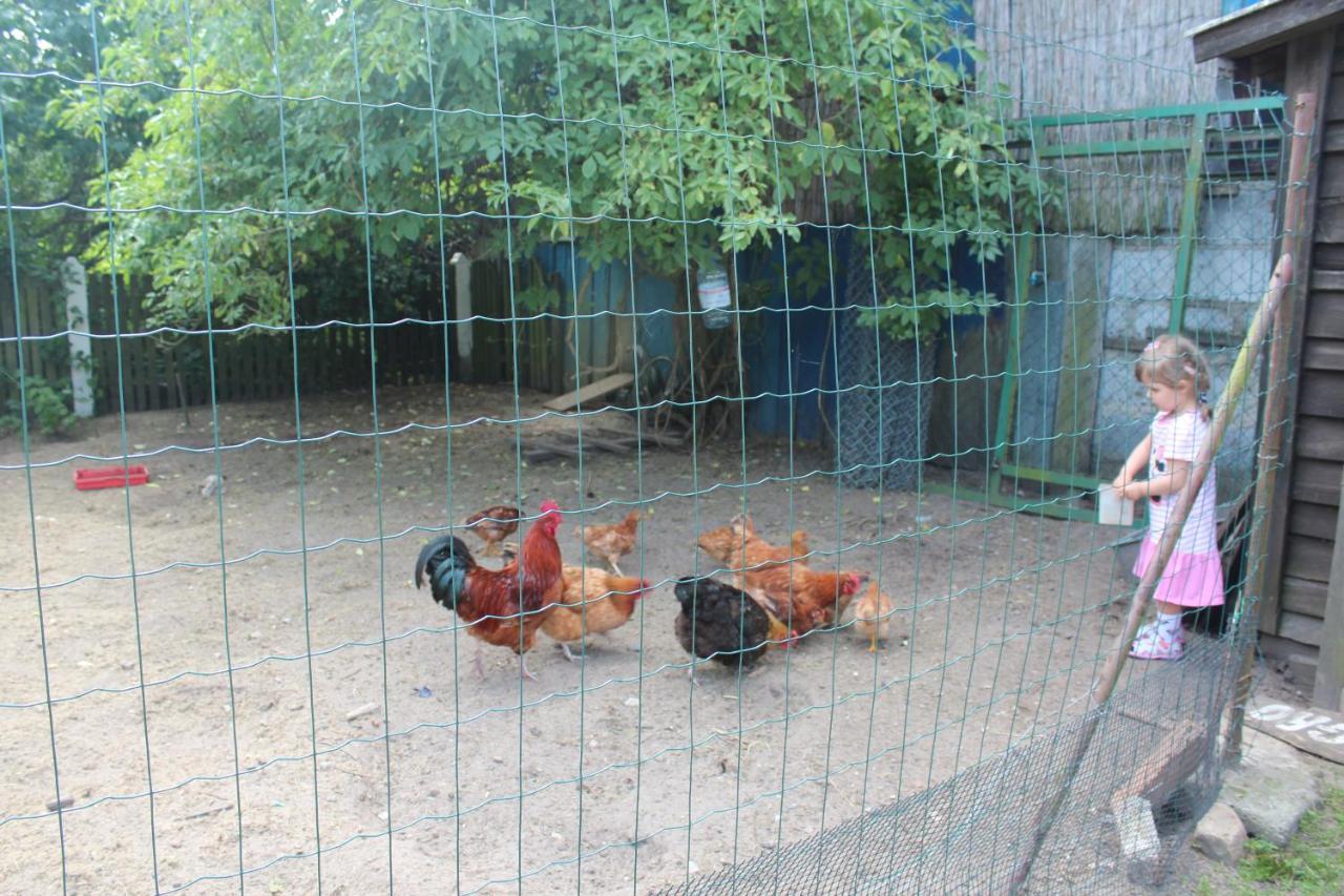 Agroturystyka Kociewiak Szteklin Exterior foto